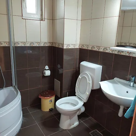 Гостевой дом Casa Antonio Cristian Костинешти